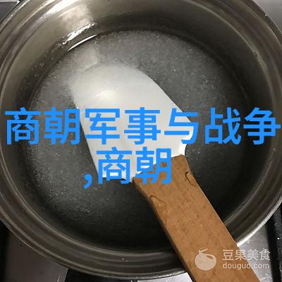 青铜器中的凝视与沉思从仰韢文化到青铜器艺术之旅