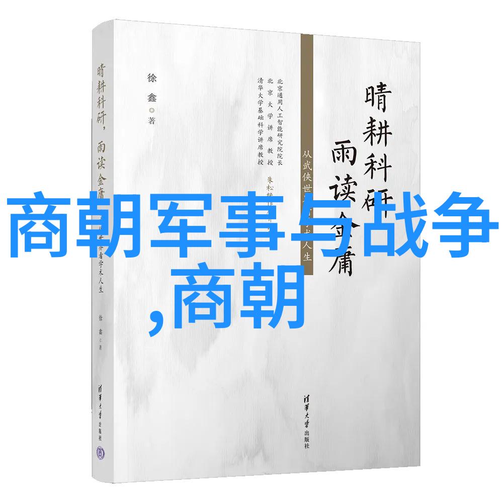 从龙袍到甲胄清朝军事官服的装饰特点