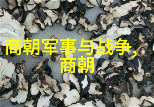 明朝那些事儿全七册txt下载历史小说明朝背景文学作品