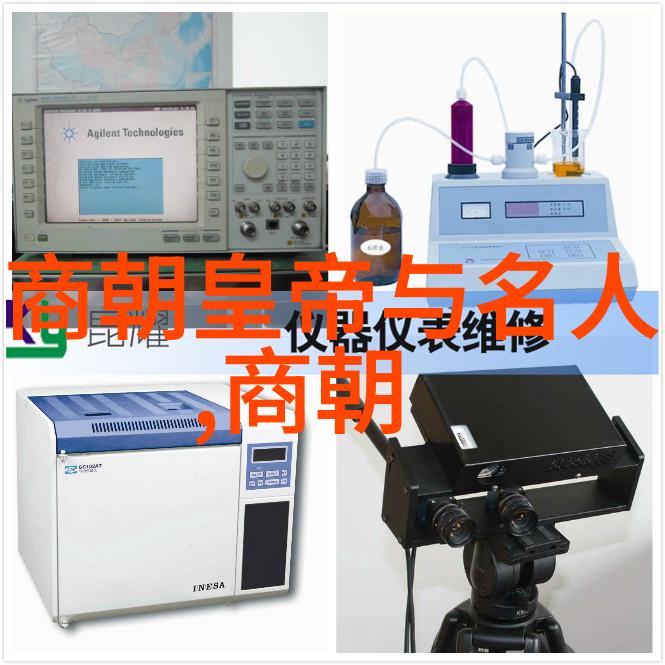 朱允炆与朱棣的对比明朝开国皇帝与太子之间的权力斗争