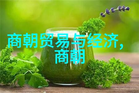 明英宗之称历史考量与帝王印象