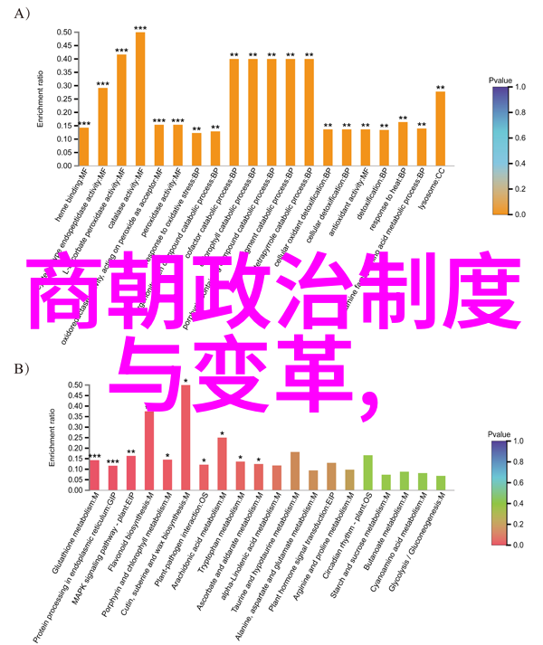 主题我是如何在五十岁时成熟的