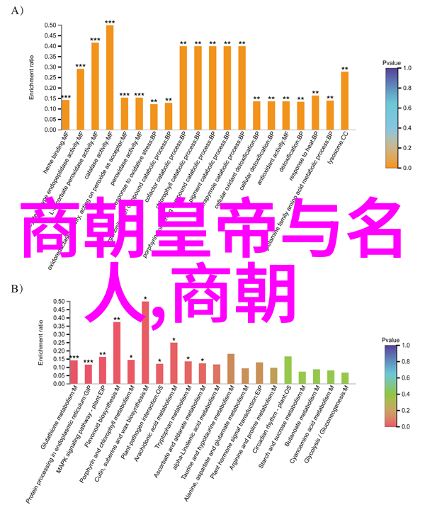 笑声中枪军事历史的幽默回顾