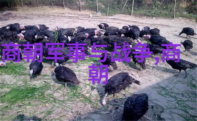 民间真实老故事免费听我给你讲一个真的超级好玩的关于驴肉火烧饼的故事