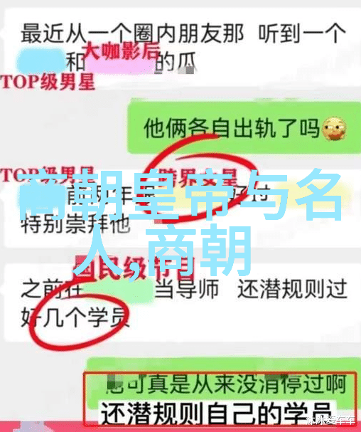 丁启睿探索中国历史文化的深邃面纱