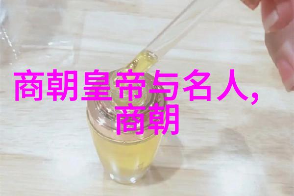 汉朝历史长河中的璀璨王朝