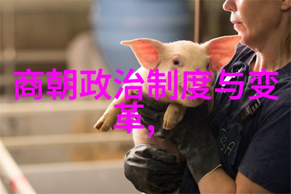 历代名家墨迹法帖 - 书香墨彩探秘古今笔墨艺术的高峰之作