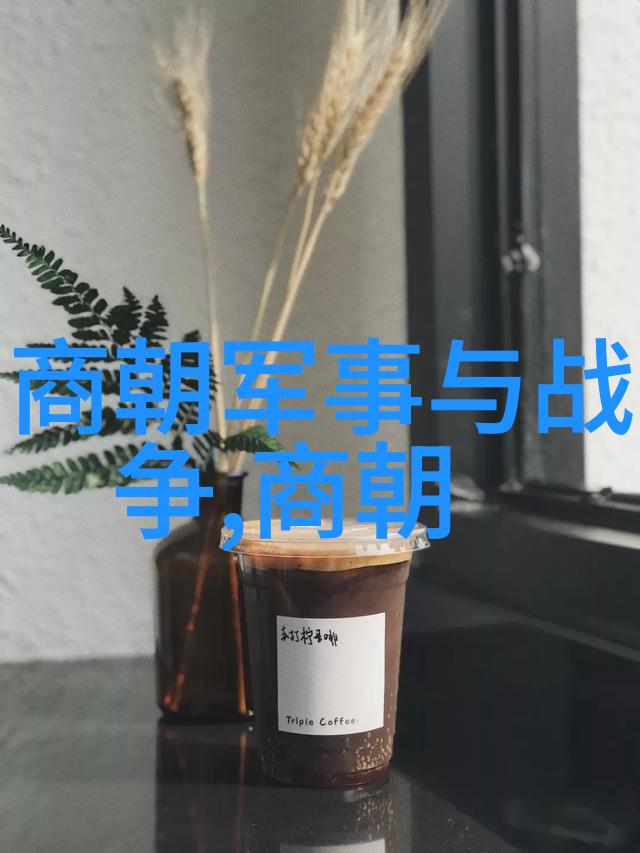 金朝历史的简明全景一口气读懂千年变迁