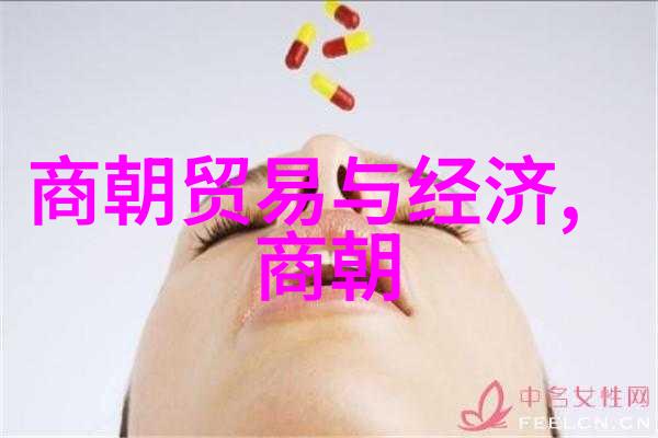 刘伯温生平明朝著名的数学家天文学家和政治家