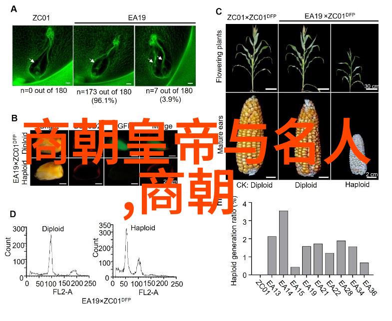 junshi - 战国策略揭秘古代将军的生死之术