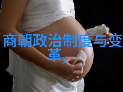 在土木堡的变故中那位宫女是如何以绘画传递忠诚与哀愁的