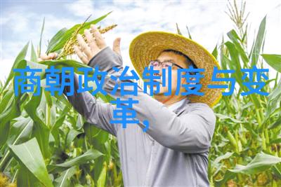 王珮瑜从影视小花到社会活动家的逆袭