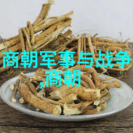 中国的历史与文化简介