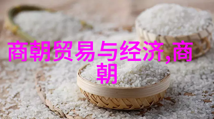 小熊和大海的秘密海洋探险的启示