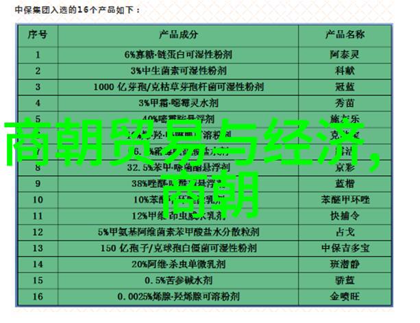 圣城的呼唤探索耶路撒冷的历史与文化