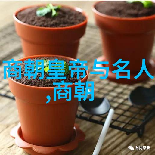 河南风华绘彩高级文案传唱中原故事