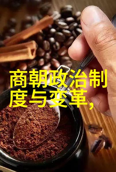 岳飞之死后宋朝的政治与社会变迁