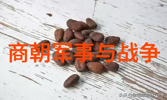 宋朝与南宋的兴衰两宋时期的政治经济文化变迁