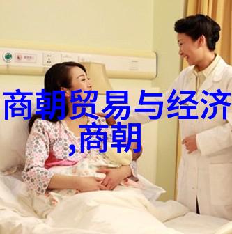 我来告诉你从金兵到蒙古南宋和北宋是怎么分的