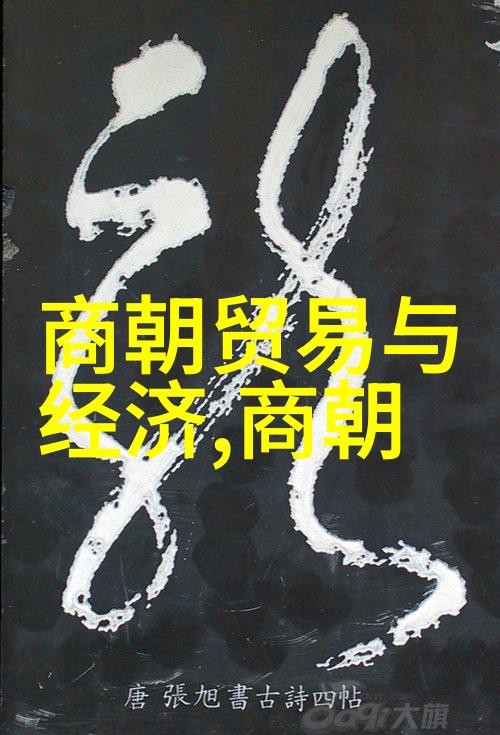 深度分析现代社会对野史书的接受程度如何