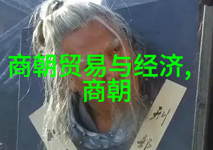 清朝官阶之巅满汉合璧的仕途荣耀