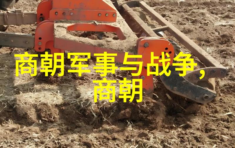 河南文化的民族精神探索黄河流域传统价值观与现代社会实践