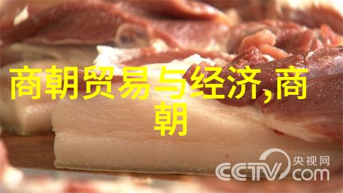 地铁挤压高峰时段的公共交通困境