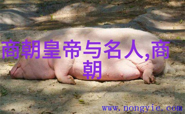 主题姬小满乳液狂飙网站 - 我的日常护肤神器