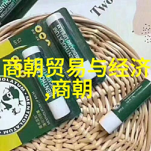 东方辉煌明朝的璀璨篇章