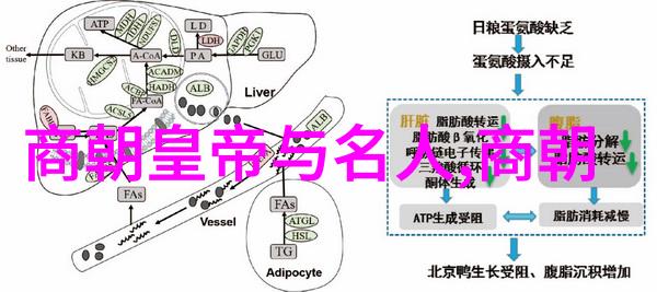 明代宫女暗杀明朝皇家宫廷中的秘密谋杀事件