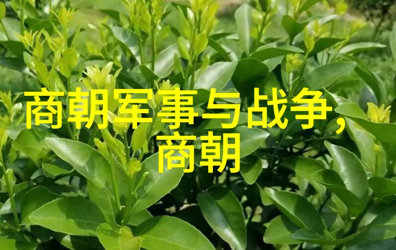 文治武功并重探索宋朝专家眼中的魅力