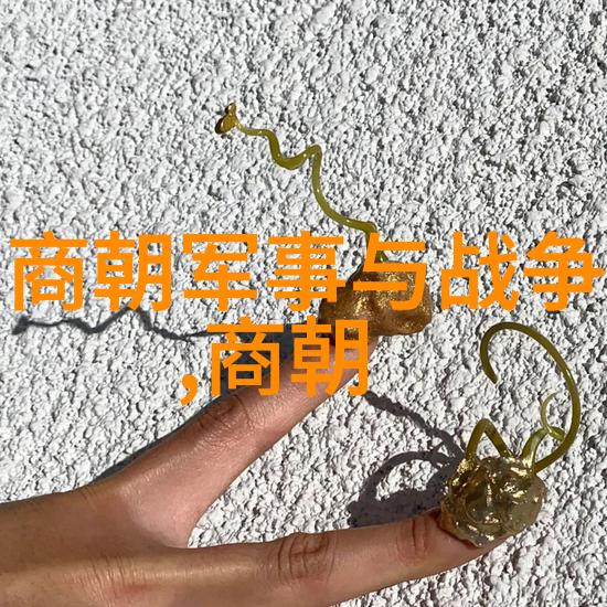 森林探秘尝鲜体验的视频征程