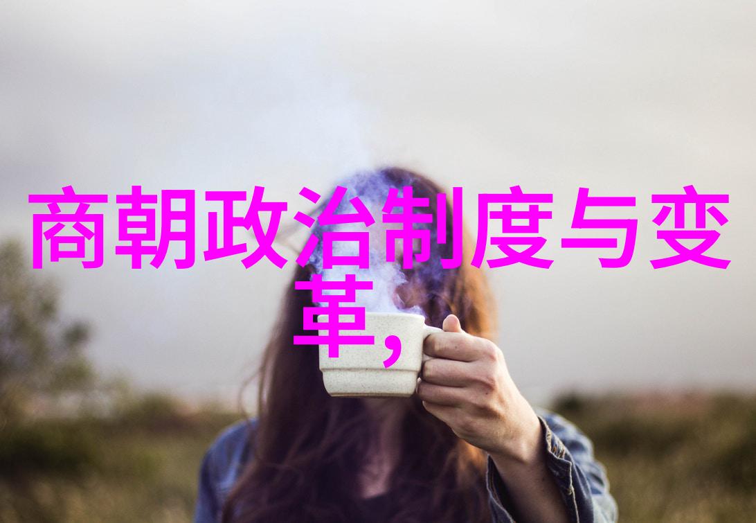 明朝历史的阴影揭开被丑化的原因