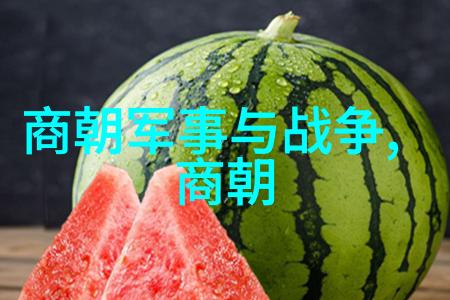 奇迹般的疫苗2021年抗疫英雄的故事