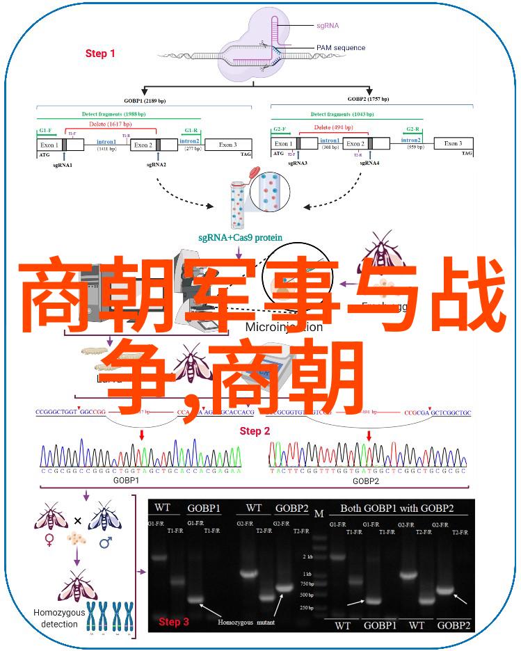 元朝历史的隐匿篇章探究