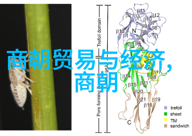 国际歌唐朝-红旗飘扬唐代诗人与国际歌的无声对话