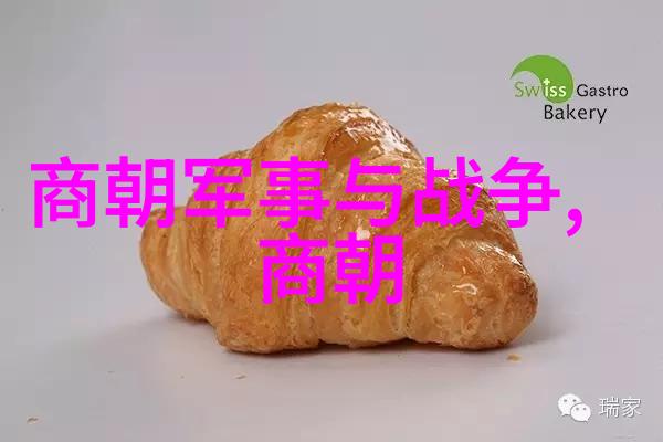 武则天的传奇帝女的崛起与统治