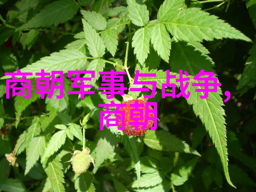 清明对比穷尽一生