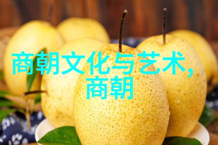 宋朝历史app我在时间的长廊上漫步一款让古代活起来的神奇工具