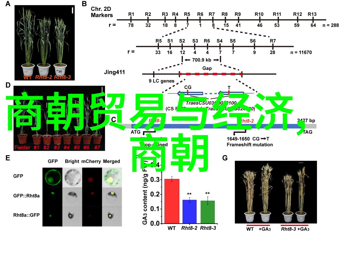 什么因素导致了元朝政治腐败和经济衰退的情况