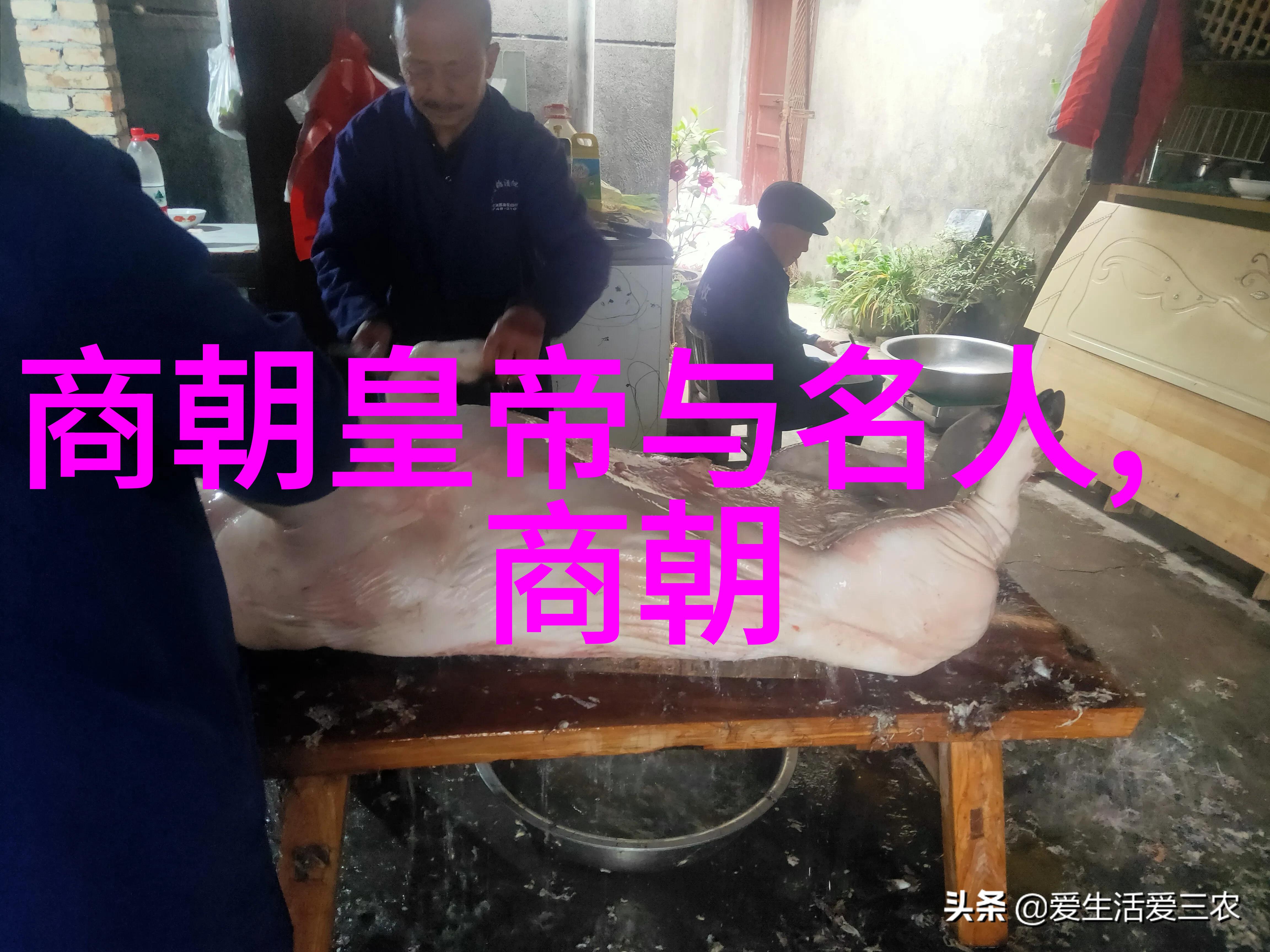 中央集权与地方自治明朝行政制度探究