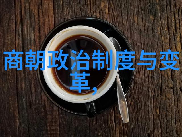 明朝无昏君崛起与灭亡的历史转折明朝政治制度社会经济困境外部压力和内部矛盾