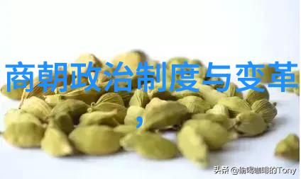 明朝覆灭的象征土木堡之战中国历史上的重大失败