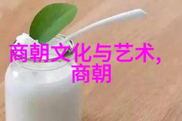 清朝年代-龙袍与缦帐清朝皇权的巅峰与衰落