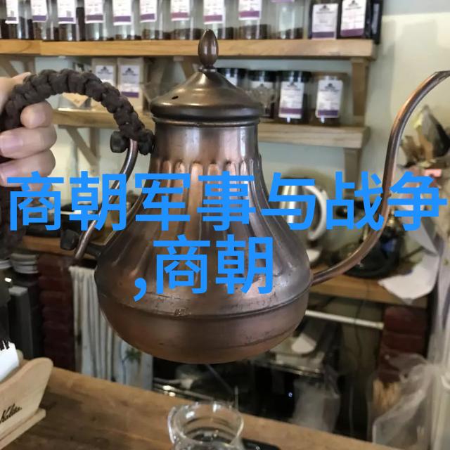 红楼梦与唐朝AV的比较研究