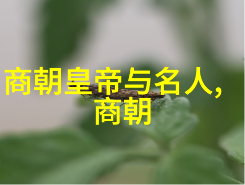 光绪的囚禁日记十年孤独与反思