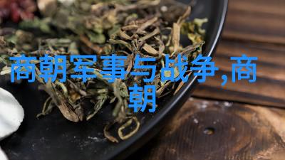 时间的尘封历史资料初三上册的回响