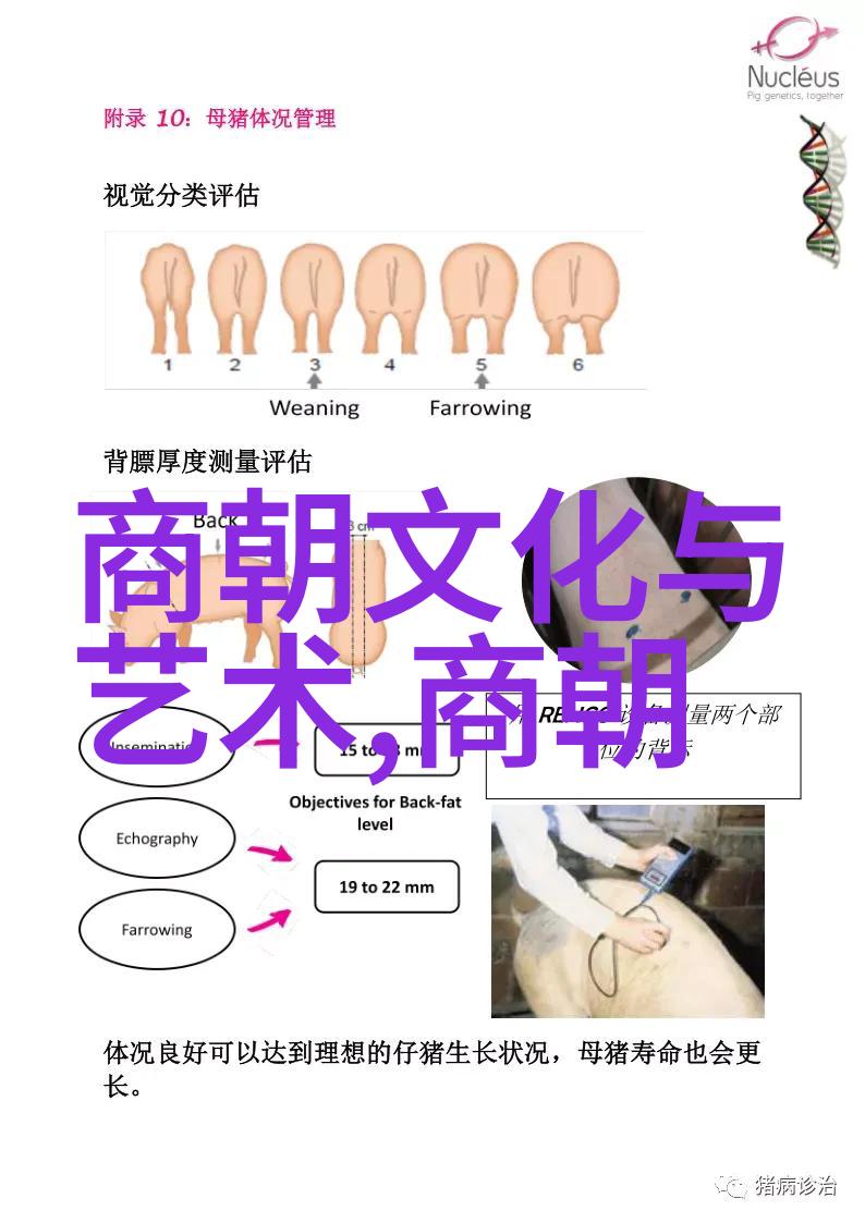 免费听明朝那些事儿-揭秘历史宝藏免费聆听明朝那些故事的奇妙之旅