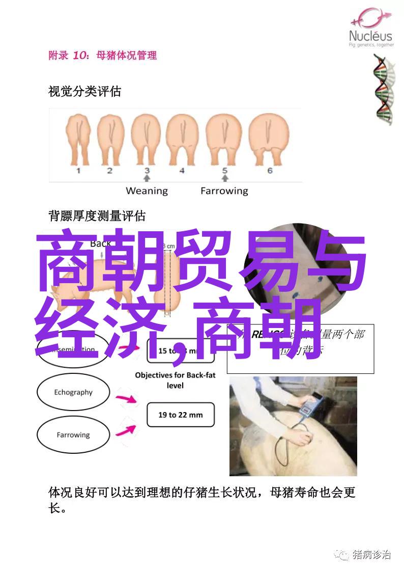 历史名人的轶事趣闻探秘三瘦词人之谜揭开他们背后的故事与传奇