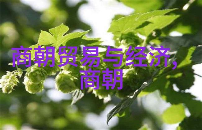 南宋后期的逃难生活岳飞遗梦